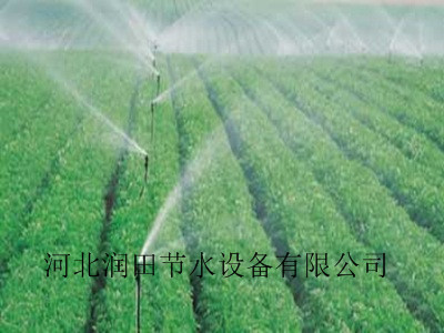 出售邯郸便宜耐用大田喷灌设备 喷灌喷头