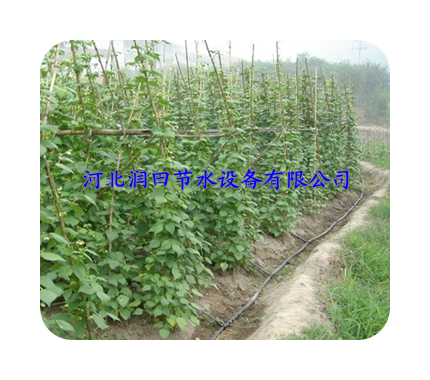 沧州大棚滴灌节水节能微灌带价格及厂家