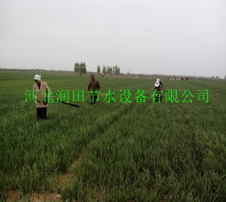衡水苗圃微喷灌溉喷灌软带 项目承包厂家
