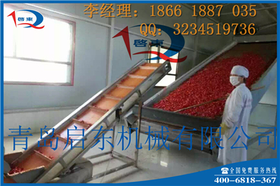 QD启东专业生产蔬菜烘干机厂家 质量有保障
