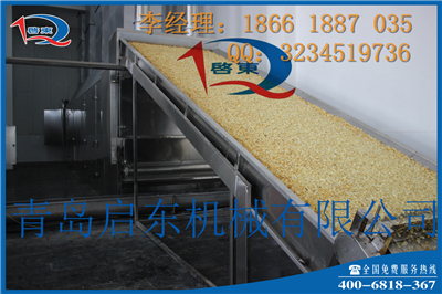 大蒜加工大蒜烘干设备优选青岛启东