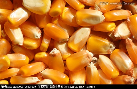 大量求购玉米高粱大米大豆小麦等