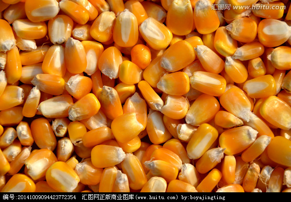 玉米高粱小麦大米糯米大豆等