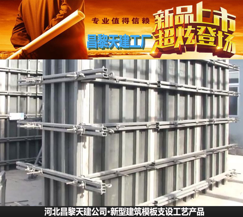 天建实业建筑施工灌注墙体模板用件