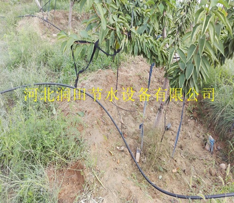 衡水果树小管出流滴灌技术|百亩地造价