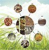 生物质燃料批发 浙江生物质锅炉燃料厂家