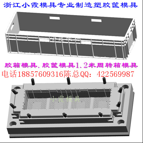 我们专做注塑模具 整理篮子模具台州模具