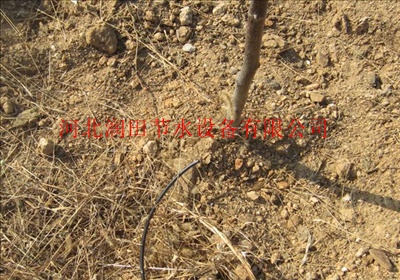 石家庄赞皇厂家供应果树滴灌小管出流施肥罐优惠促销