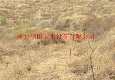 河北赞皇大枣灌溉 小管出流PE管定制出售