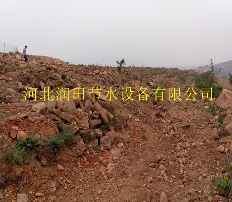 河北宁晋鸭梨滴灌 小管出流系统PE特价出售
