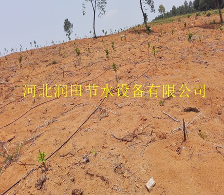 保定徐水果园灌溉 小管出流离心过滤器厂家价格
