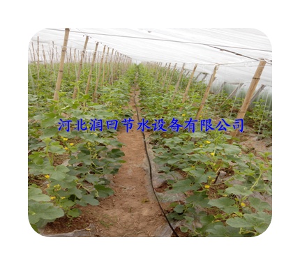 微滴带|朔州滴灌厂家实惠促销
