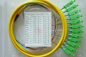 广电专用SC APC12芯束状尾纤 束状跳线光纤跳线尾纤