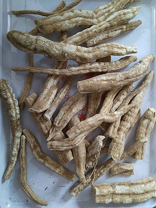 天花粉统个 地道中药材