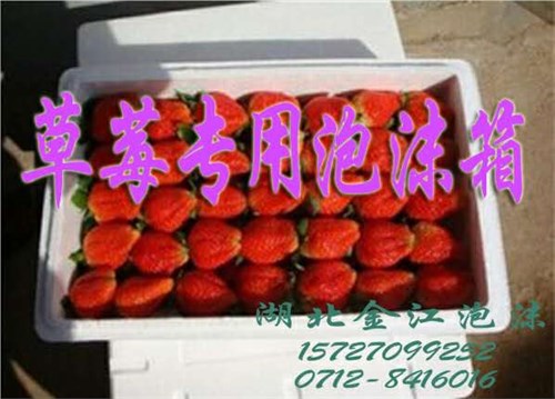 武汉草莓泡沫箱价格 武汉草莓泡沫箱厂家 湖北水果泡沫箱厂家 金江泡沫供