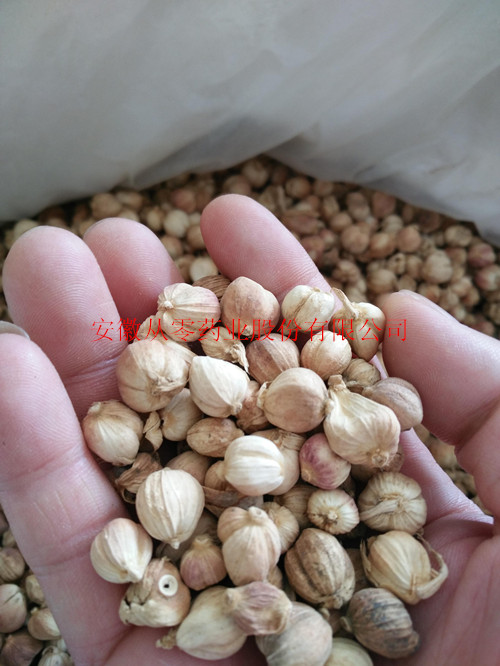 豆蔻 进口优质豆蔻供应