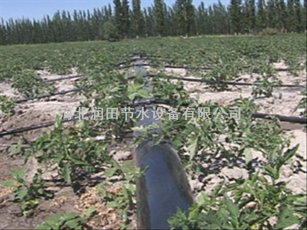 河北张家口出售花卉滴灌节水滴箭 型号齐全