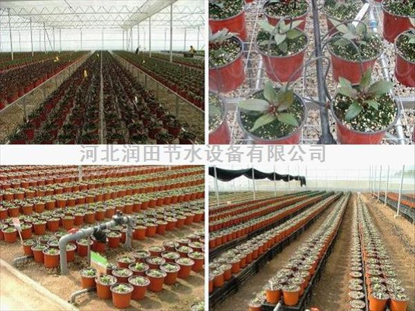 河北承德供应温室花卉滴灌专用滴箭