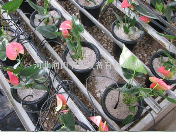 张家口宣化花卉滴灌节水滴箭批发