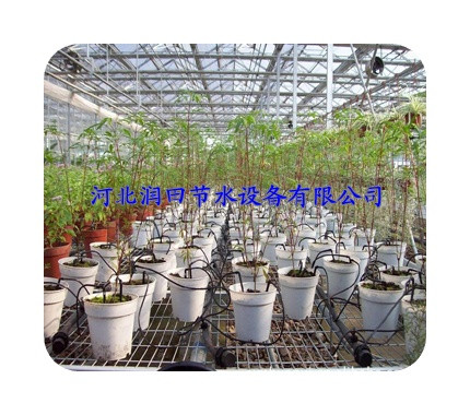 保定顺平温室花卉滴灌专用一出二滴箭