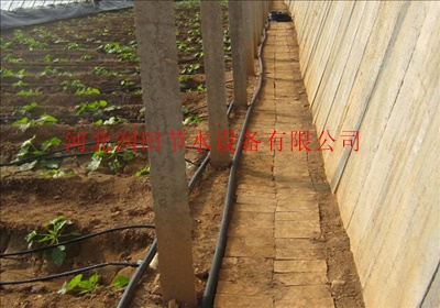 运城茄子大棚滴灌水管|工程施工安装
