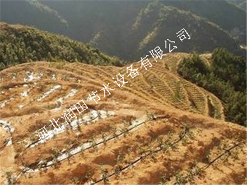 河北饶阳县果树滴灌小管出流离心过滤器