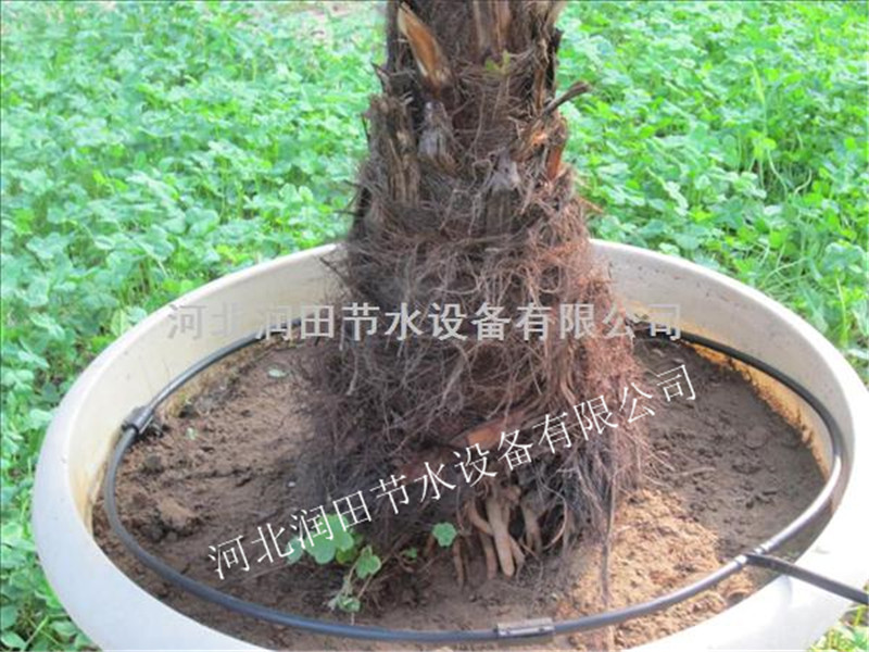 衡水固安果树滴灌水肥一体化 小管出流安装