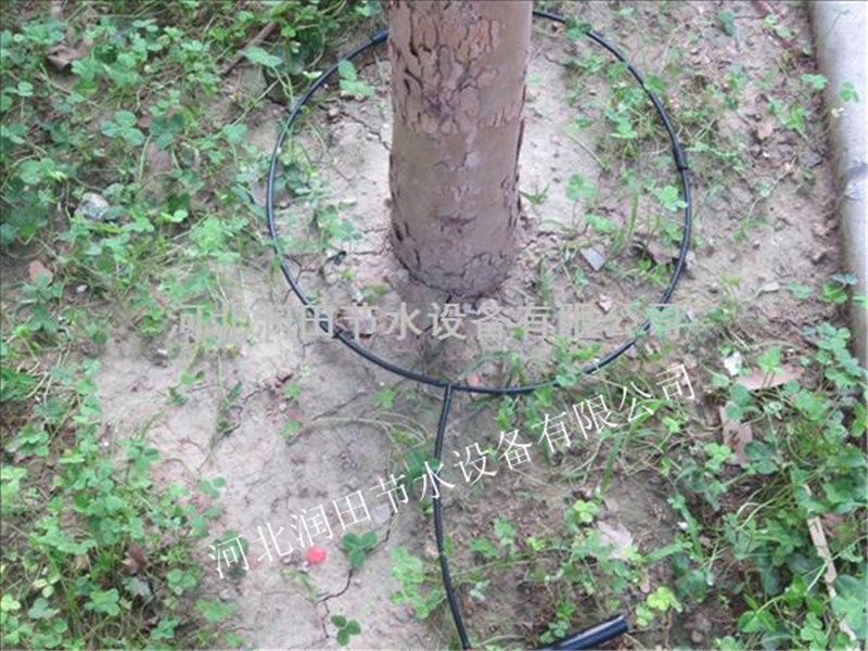 廊坊永清节水设备 果园滴灌小管出流厂家