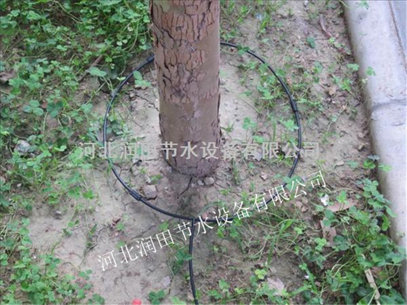 永清县优质果树滴灌小管出流设备