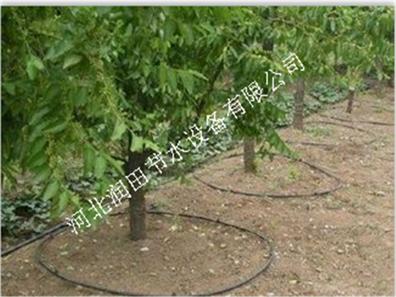 河北香河县荔枝滴灌 优质小管出流PE管价格