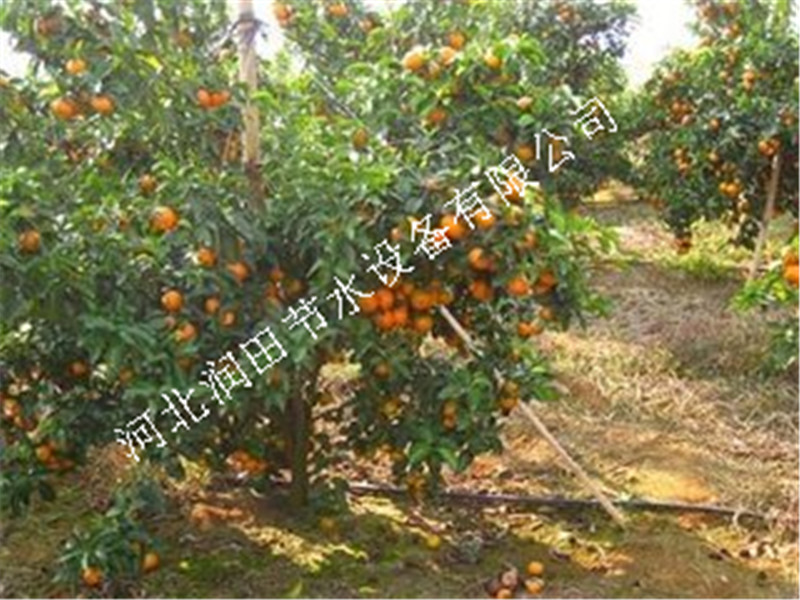 承德兴隆县果树滴灌 高效节水小管出流稳流器毛管