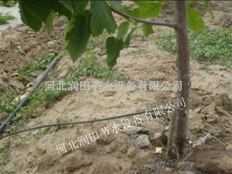 河北滦平梨树滴灌 小管出流专业厂家