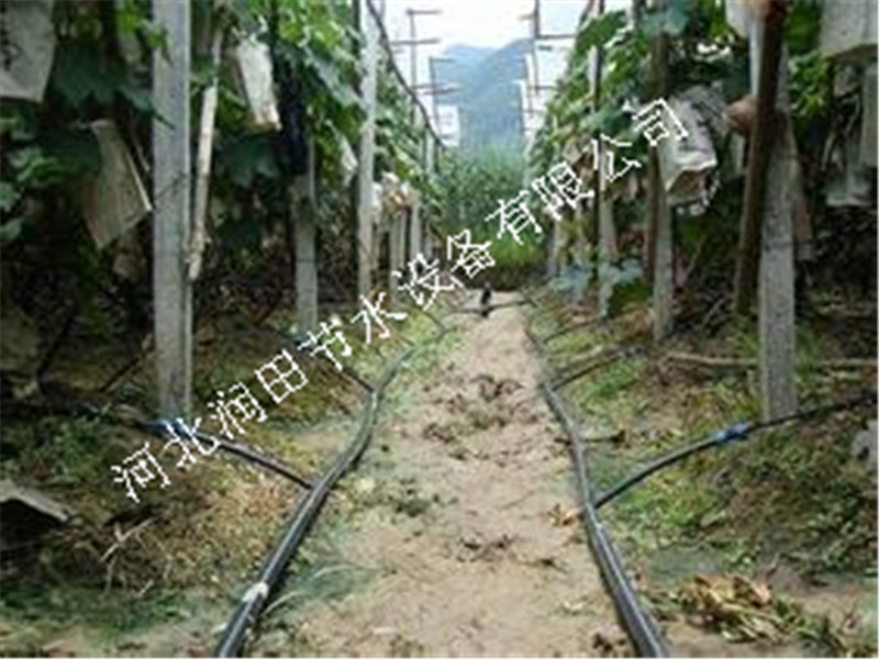 承德滦平优质果树滴灌小管出流PE管批发采购