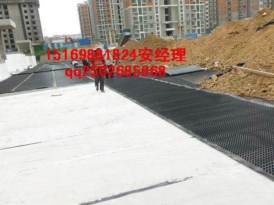 宜春蓄排水板车库(楼顶%绿化)长春地下室排水板