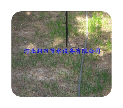 亳州市涡阳县喷水头图片，找河北润田厂家