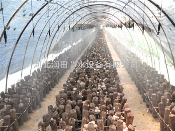 淮北市杜集区旋转微喷头价格-河北供应商