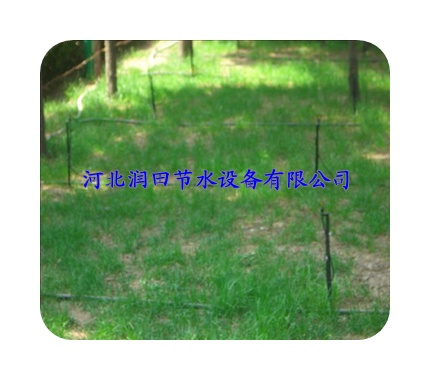 合肥市肥西县吊旋微喷头-节水灌溉-放心省心
