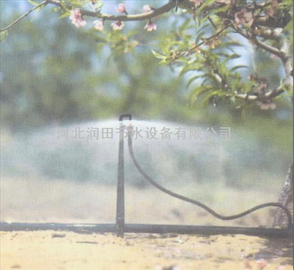 合肥市肥东县青菜灌溉-地插微喷头-河北厂家直销
