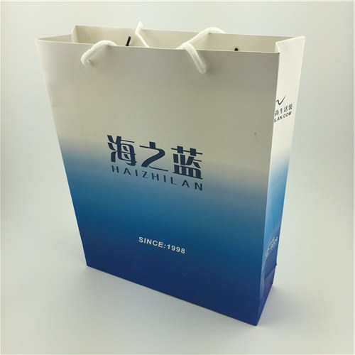 印刷纸袋价格长宁区纸袋批发上海服装纸袋供应商叶纸塑厂供