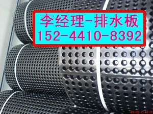 广东车库专用塑料排水板+楼顶绿化排水板厂家图片