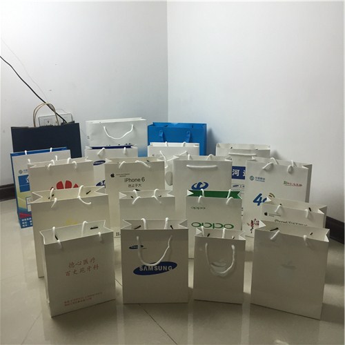 上海手挽纸袋供应商纸袋印刷价格上海广告纸袋厂家孙叶纸塑厂供