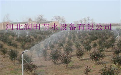 邵阳市隆回喷灌系统|ZY-2喷头+三角支架配套