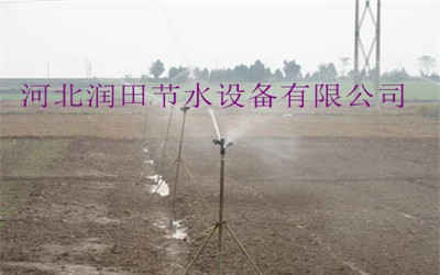 邵阳市隆回茶叶灌溉喷灌系统|工程承包厂家