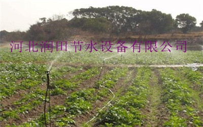 邵阳市隆回玉米大田喷灌产品|ZY-2喷头厂家
