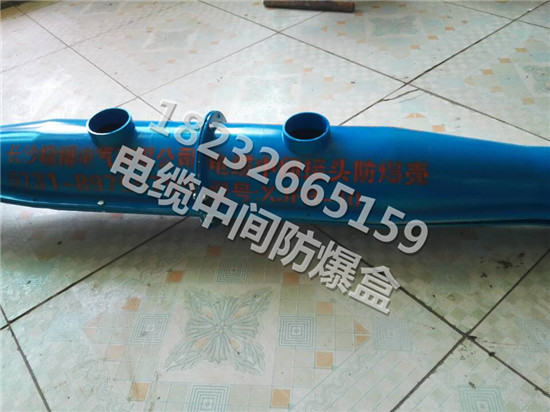 直销电缆中间接头高品质SMC电缆防爆盒电缆中间保护盒