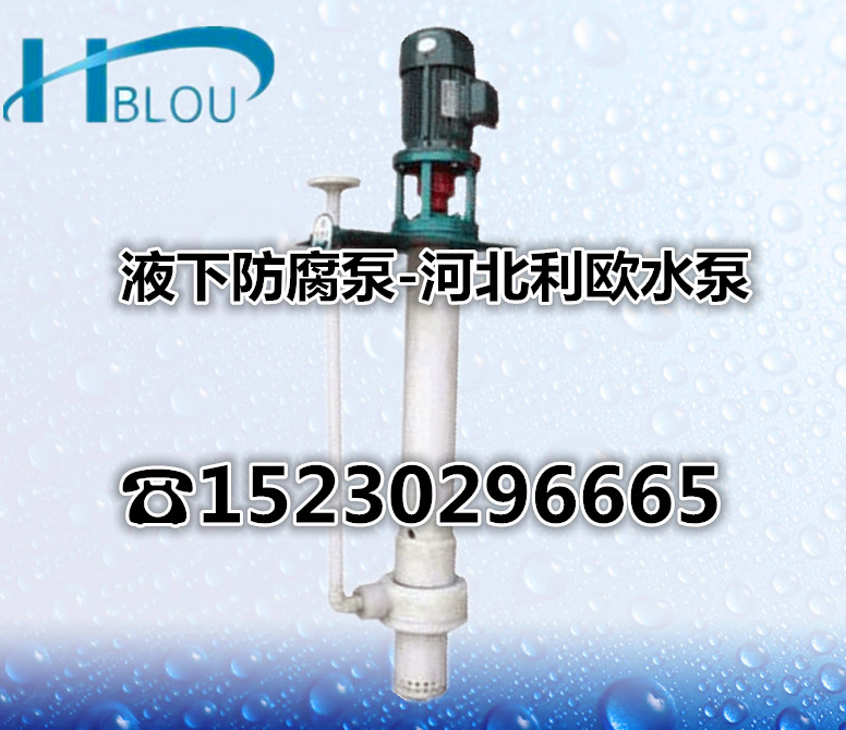 利欧40FY-26液下耐腐蚀泵脱硫污水泵液下塑料防腐泵自吸泵化工离心泵氟塑料砂浆泵