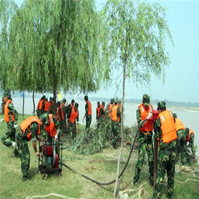 厂家直销便携式 液压钢管植桩机防汛打桩机 厂家