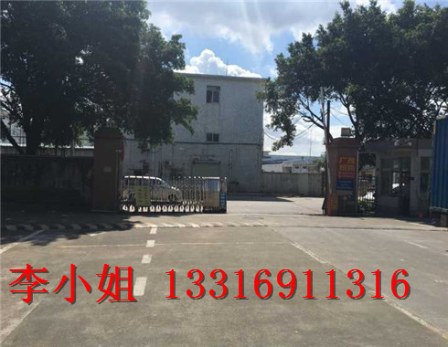 大浪厂房划线，公明厂区划线\道路划线施工