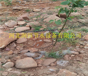 柑橘树果树灌溉设备|吉水县小管出流