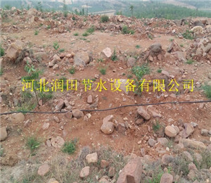 果树灌溉设备|吉水县稳流器滴灌工程